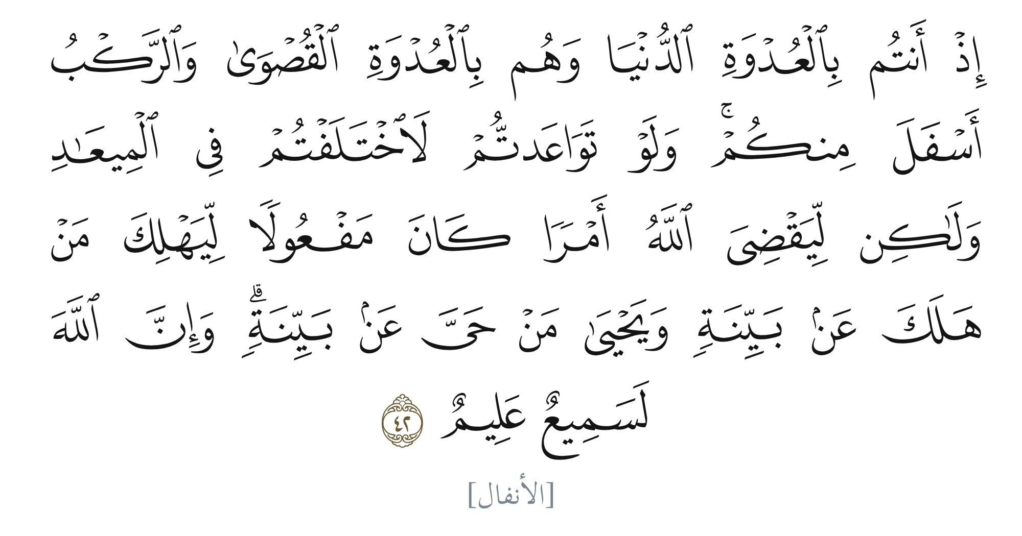 الباحث القرآني
